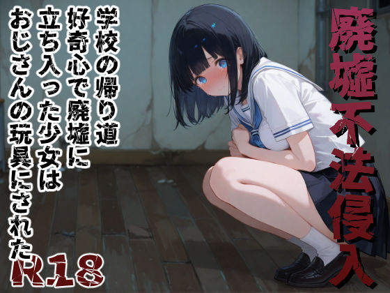 D 838347pl